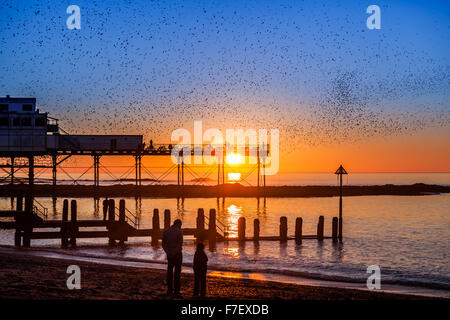 starling murmuration over Aberystwyth pier at sunset Stock Photo