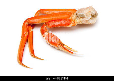 Snow crab (Chionoecetes opilio) or Tanner crab  isolated on a white studio background. Stock Photo