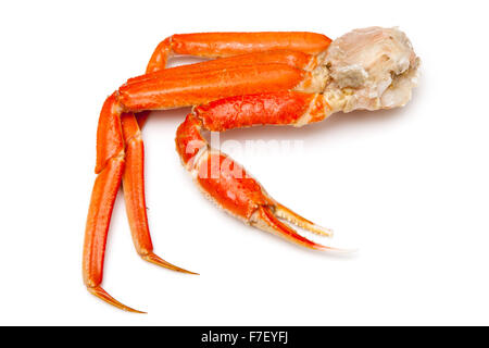 Snow crab (Chionoecetes opilio) or Tanner crab  isolated on a white studio background. Stock Photo