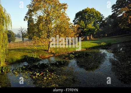 Parkland at Hanbury Hall near Droitwich Spa West Midlands Worcestershire England UK Europe Stock Photo