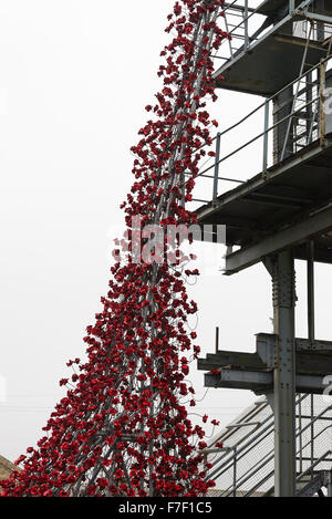 The Cascade of Ceramic Red Poppies at Woodhorn Mining Museum in Memory of World War One Soldiers Ashington Northumberland UK Stock Photo