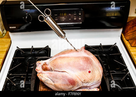 A salt rub brined Thanksgiving Turkey cooked on a Weber Kettle barbecue being injected with butter Stock Photo