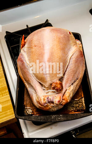 A salt rub brined Thanksgiving Turkey to be cooked on a Weber Kettle barbecue Stock Photo
