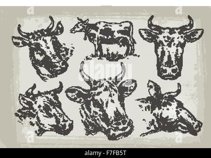 collection of hand-drawn cows. vector illustration Stock Vector