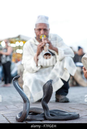 Snake charmer and cobras in Jemaa El Fna Square in Marrakech, Morocco. Stock Photo