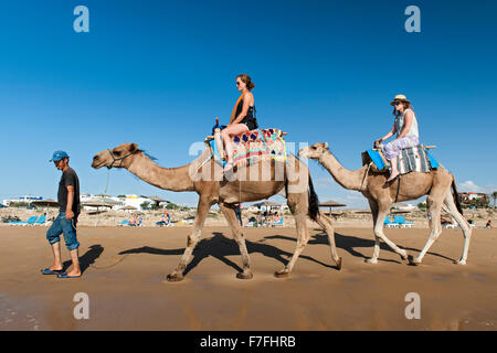 Tourists riding camels along the water's edge of Sidi Kaouki beach in Morocco. Stock Photo