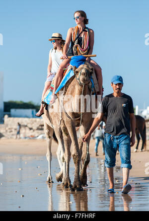 Tourists riding camels along the water's edge of Sidi Kaouki beach in Morocco. Stock Photo