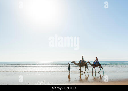 Tourists riding camels along the water's edge of Sidi Kaouki beach in Morocco. Stock Photo