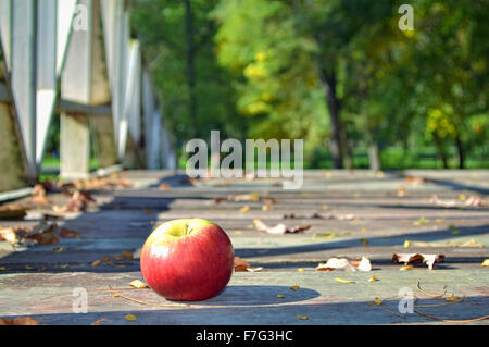 Ripe red apple fallen on the walkway in sunny autumn day Stock Photo