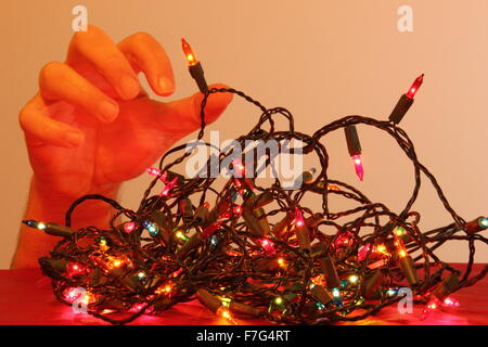 A man prepares to tackle tangled Christmas lights in preparation for Yuletide celebrations, indoors domestic setting, England Stock Photo