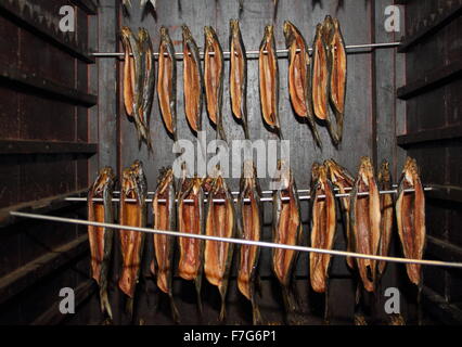 Prepared whole smoked herrings (kippers) hang in a wooden smoking cabinet  on sale at a farmers' market,  England UK Stock Photo