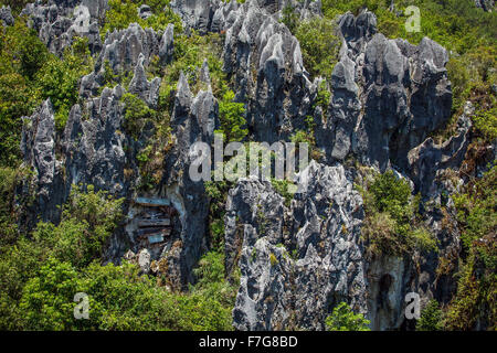 Coffins hang from cliff faces in the Grand Cordillera Mountain range in Sagada, Luzon, Philippines. Stock Photo