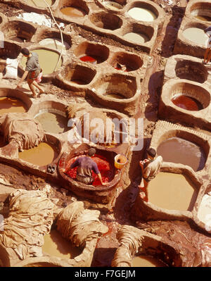 Workers tan leather in tanning pits. Fes, Morocco. Fes al Bali, Morocco. Stock Photo