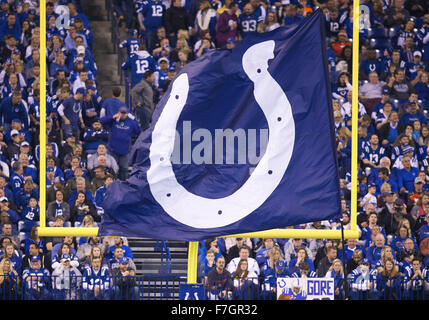 Indianapolis, Indiana, USA. 29th Nov, 2015. A general view during NFL football game action between the Tampa Bay Buccaneers and the Indianapolis Colts at Lucas Oil Stadium in Indianapolis, Indiana. Indianapolis defeated Tampa Bay 25-12. John Mersits/CSM/Alamy Live News Stock Photo