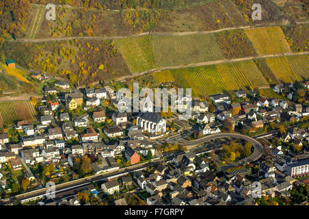Leutesdorf, municipality Neuwied, Rhine Valley, with vineyards and golden vine leaves, vineyards, Weinanbeugebiet, Rhine Valley,
