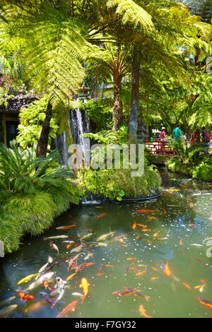 Monte Palace Tropical Garden (Japanese garden) - Monte, Madeira Island, Portugal