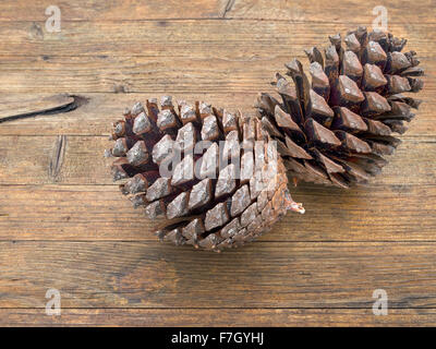 Pine cones on old table. From Umbrella pine. Stock Photo