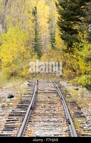 Dead end section of track on the Durango & Silverton Narrow Gauge Railroad in the Animas River Canyon, Colorado.