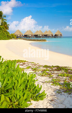 Tropical beach, Maldives Island, Ari Atoll Stock Photo