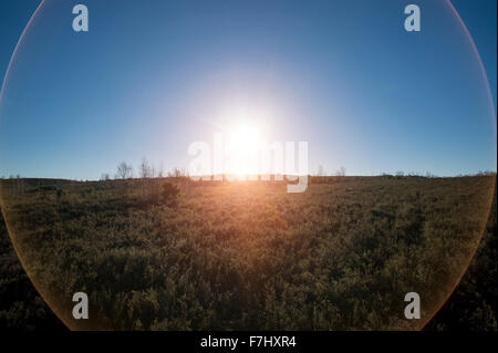 circular lens flare Stock Photo