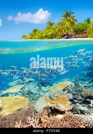 landscape of tropical island beach with palm trees and sunny blue