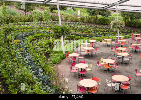 Cafe at Eden Project, Cornwall Stock Photo - Alamy