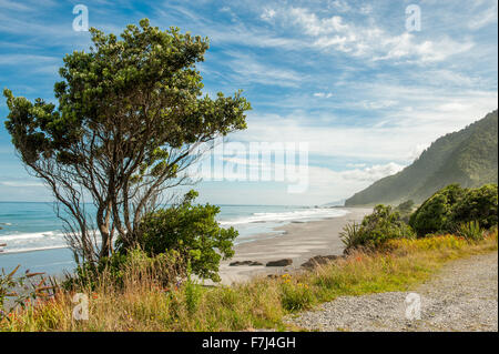 Tasman sea rolls in south of Punakaiki, South Island, New Zealand Stock Photo