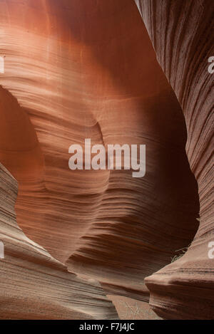 Beautifully swirled sandstone walls in Rattlesnake Canyon, Arizona, USA Stock Photo