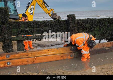 repairing wooden groyne beach walton naze essex, groynes are sturdy barriers built out into the sea from a beach to check erosion and drifting. Stock Photo