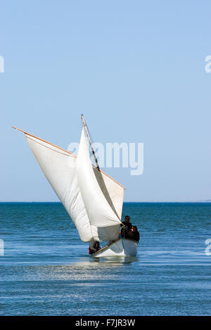 The Vogua Monstra, Latin sail, Le Grau du Roi,  Languedoc-Roussillon, France Stock Photo