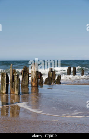 Summer sun & blue sky. Sea's waves lap the shoreline whilst old wooden groynes are reflected in water. Sandsend beach, Yorkshire Coast, England, UK. Stock Photo
