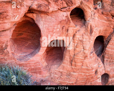 Eroded holes in sandstone. Valley of Fire State Park, Nevada Stock Photo