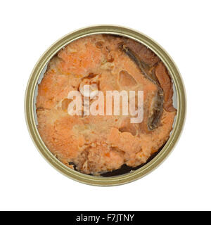 Top view of canned salmon in the tin can isolated on a white background. Stock Photo