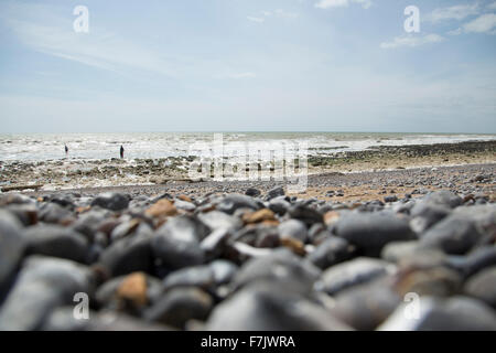 Low level quirky camera angle of beach pebbles and stones with blurred foreground along the coast of Birling Gap East Sussex Stock Photo