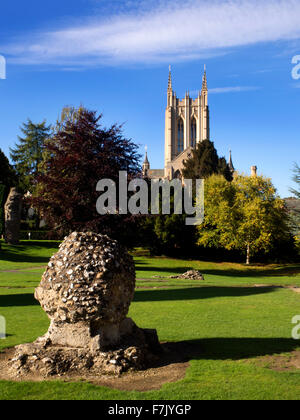 St Edmunsbury Cathedral from Abbey Gardens Bury St Edmunds Suffolk England Stock Photo