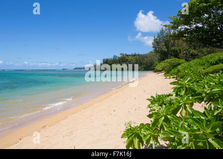 Anini Beach, Kauai, Hawaii Stock Photo