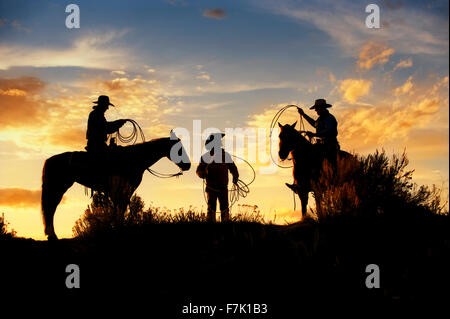 Colorado Cowboys Roping Stock Photo