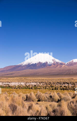 Parinacota volcano. High Andean landscape in the Andes. High Andean tundra landscape in the mountains of the Andes. The weather Stock Photo