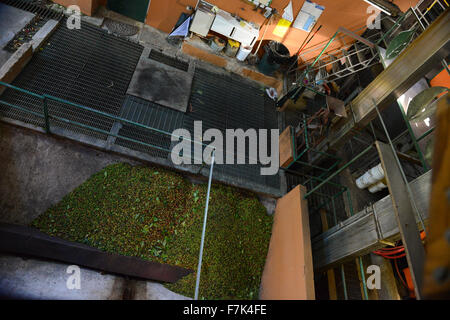 Hacienda San Pedro producer of coffee since the end of the XIX century. Jayuya, Puerto Rico. USA territory. Caribbean Island. Stock Photo