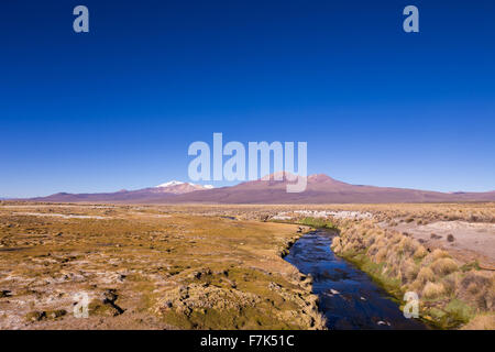 High Andean tundra landscape in the mountains of the Andes. The weather Andean Highlands Puna grassland ecoregion, of the montan Stock Photo