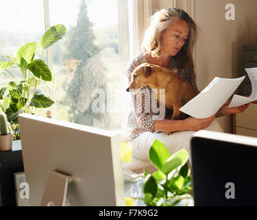 Woman with dog reviewing paperwork in sunny home office Stock Photo