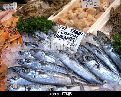 MACKEREL Line caught British Cornish Mackerel fish on display at fishmongers stall Borough Market Southwark London UK Stock Photo