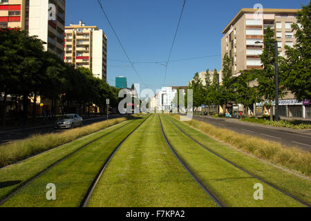 Mulhouse tram lines with artificial turf Stock Photo