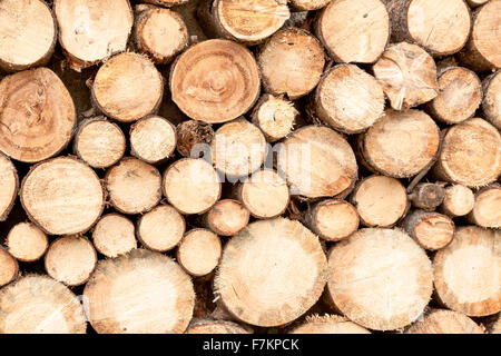 Background of dry firewood stacked up on top of each other in a pile Stock Photo