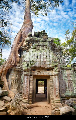 Ruins of Ta Prohm Temple, Angkor, Cambodia, Asia Stock Photo