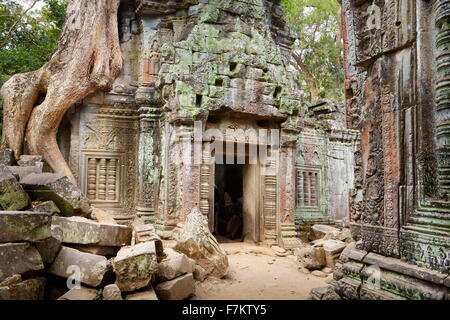 Ta Prohm Temple, Angkor, Cambodia, Asia Stock Photo