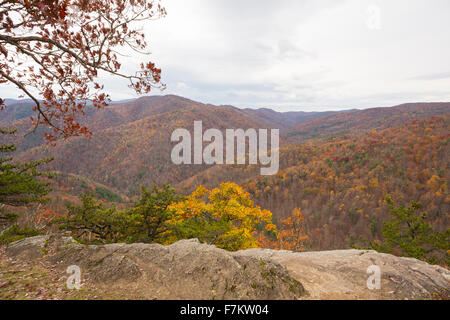 Fall color in Virginia Stock Photo