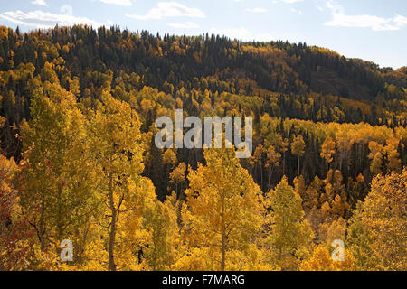 Chimney Peak with white puffy clouds showing Courthouse Mountain in the Uncompahgre National Forest, Colorado Stock Photo