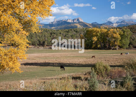 Ranch and horses with Chimney Peak in view, Uncompahgre National Forest, Colorado, near Ridgeway, CO Stock Photo