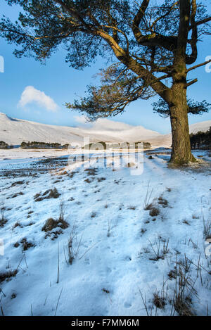 Beautful landscape across Brecon Beacons in Winter Stock Photo